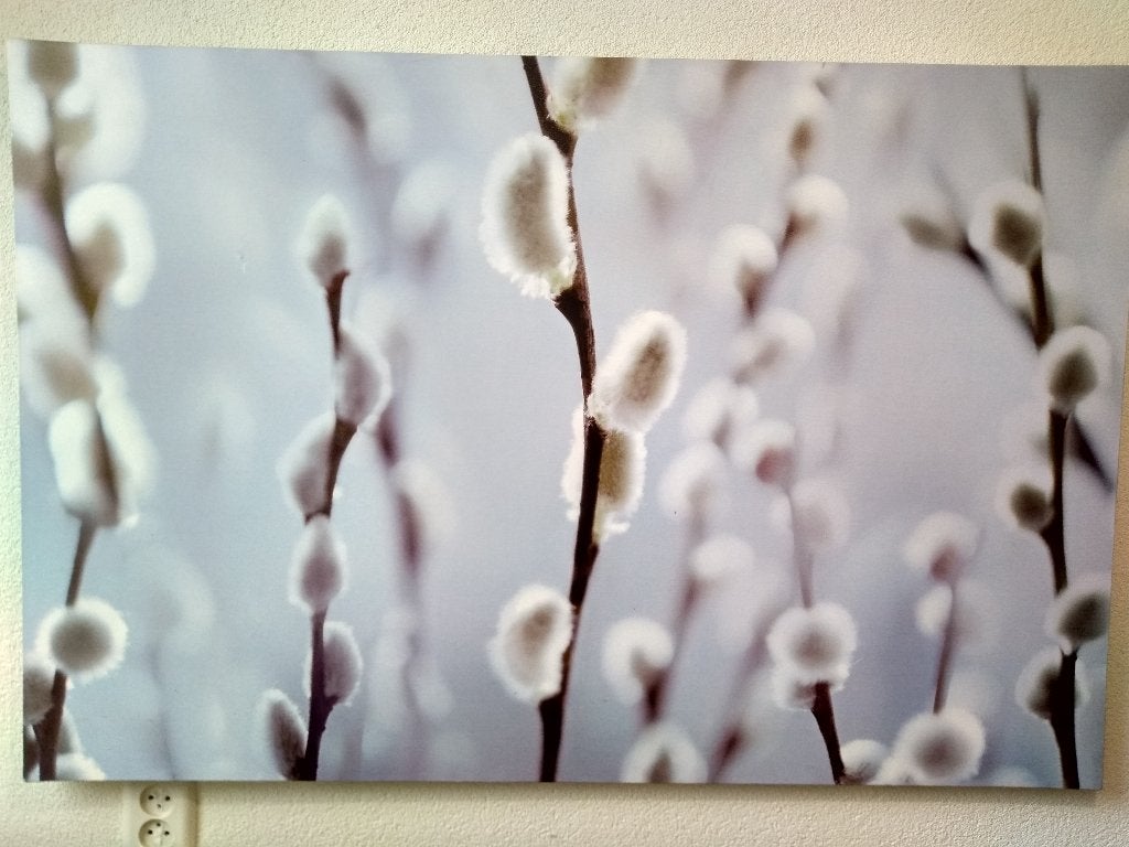 Grote canvas wanddecoratie, Ophalen, Gebruikt, Meerkleurig, Textiel