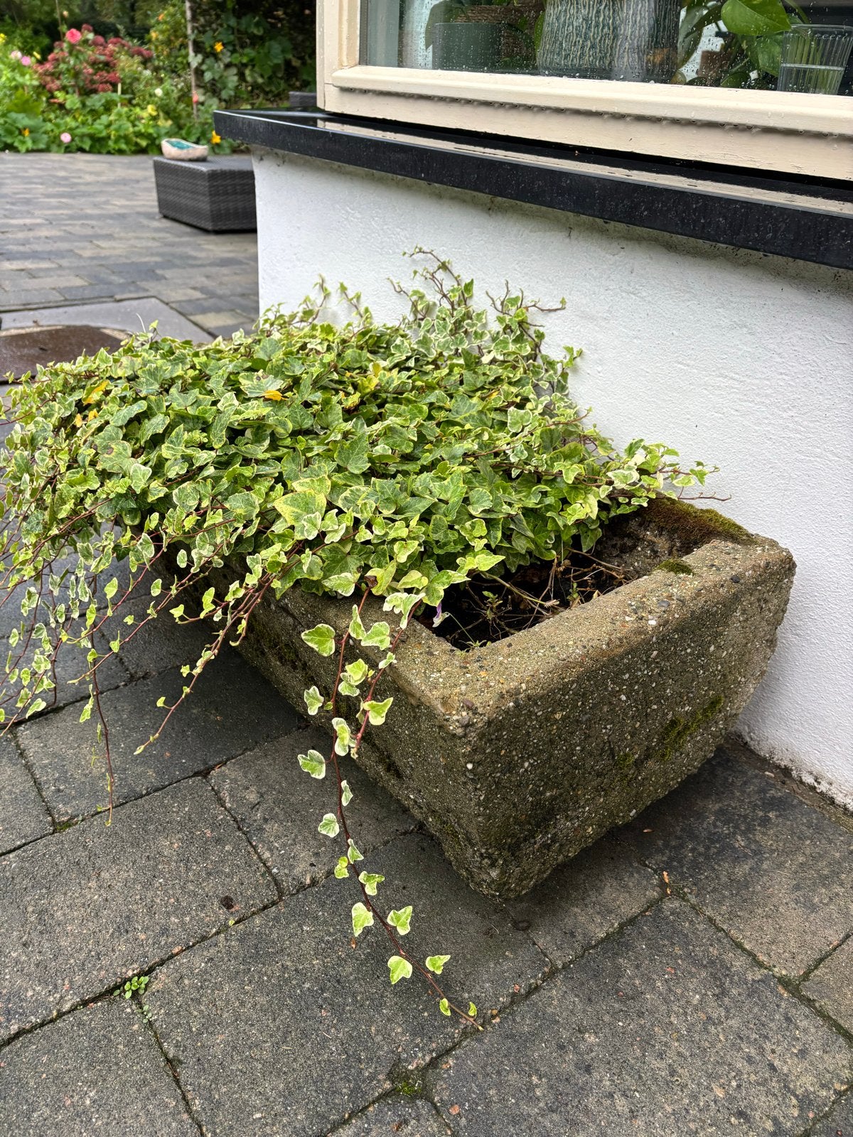 3 Loodzware Betonnen Troggen/Voerbakken - Oud Brocante, Gebruikt, Minder dan 30 cm, 100 cm of meer, Ophalen of Verzenden