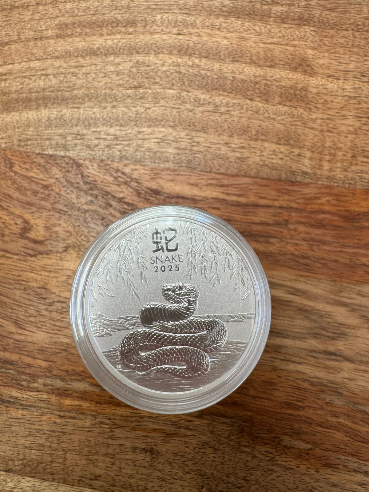 Lunar 3 Slang 2025 | 1 oz | Zilver, Ophalen of Verzenden, Zilver