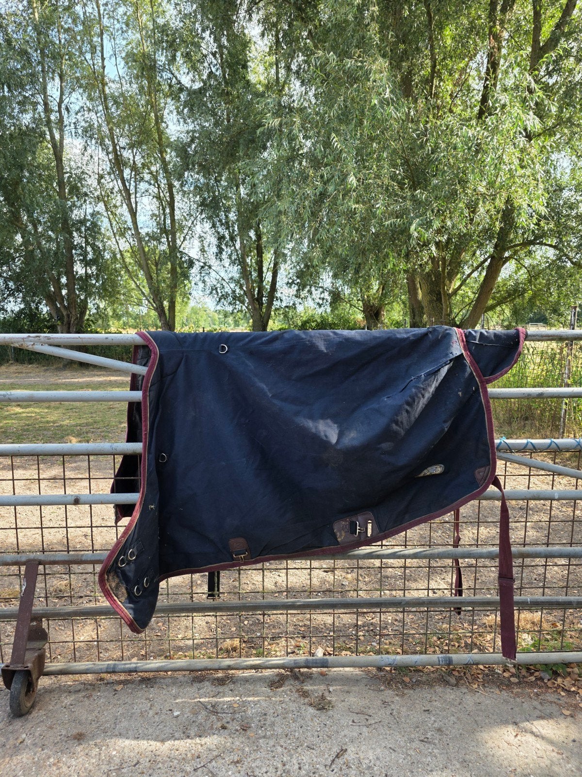 Staldeken quarter horse 185, Ophalen of Verzenden, Gebruikt