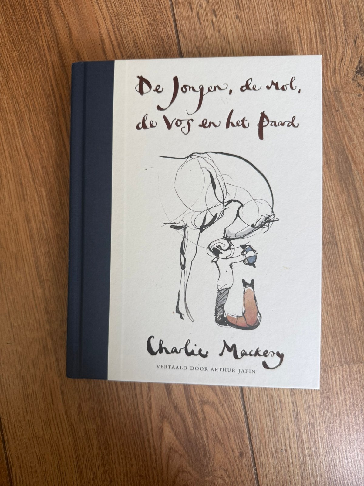 De jongen, de mol, de vos en het paard - Charlie Mackesy, Ophalen of Verzenden, Zo goed als nieuw