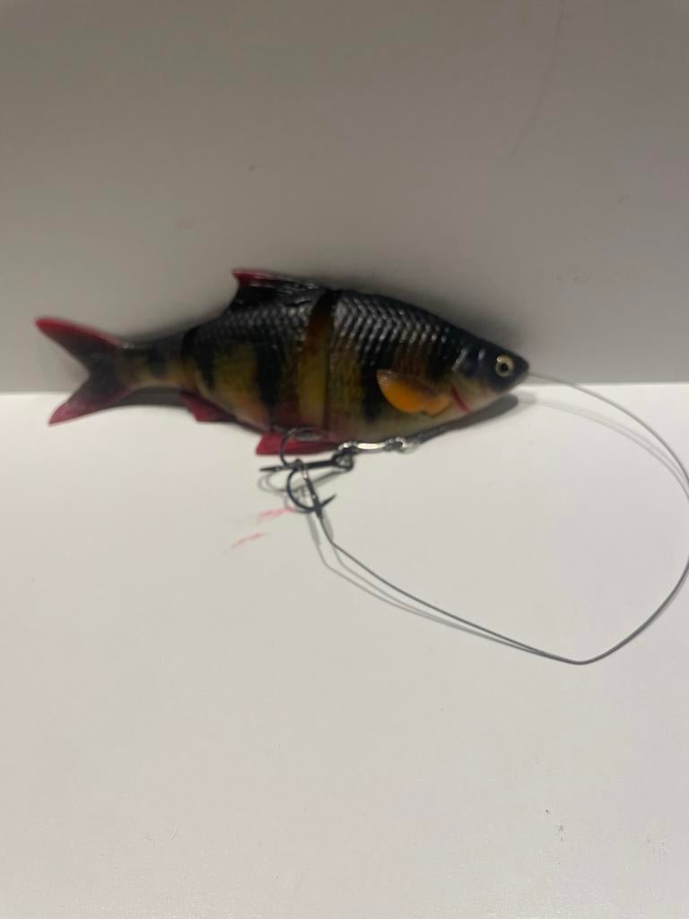 Savage Gear kunstaas voor snoek, Watersport en Boten, Ophalen of Verzenden, Gebruikt, Overige typen