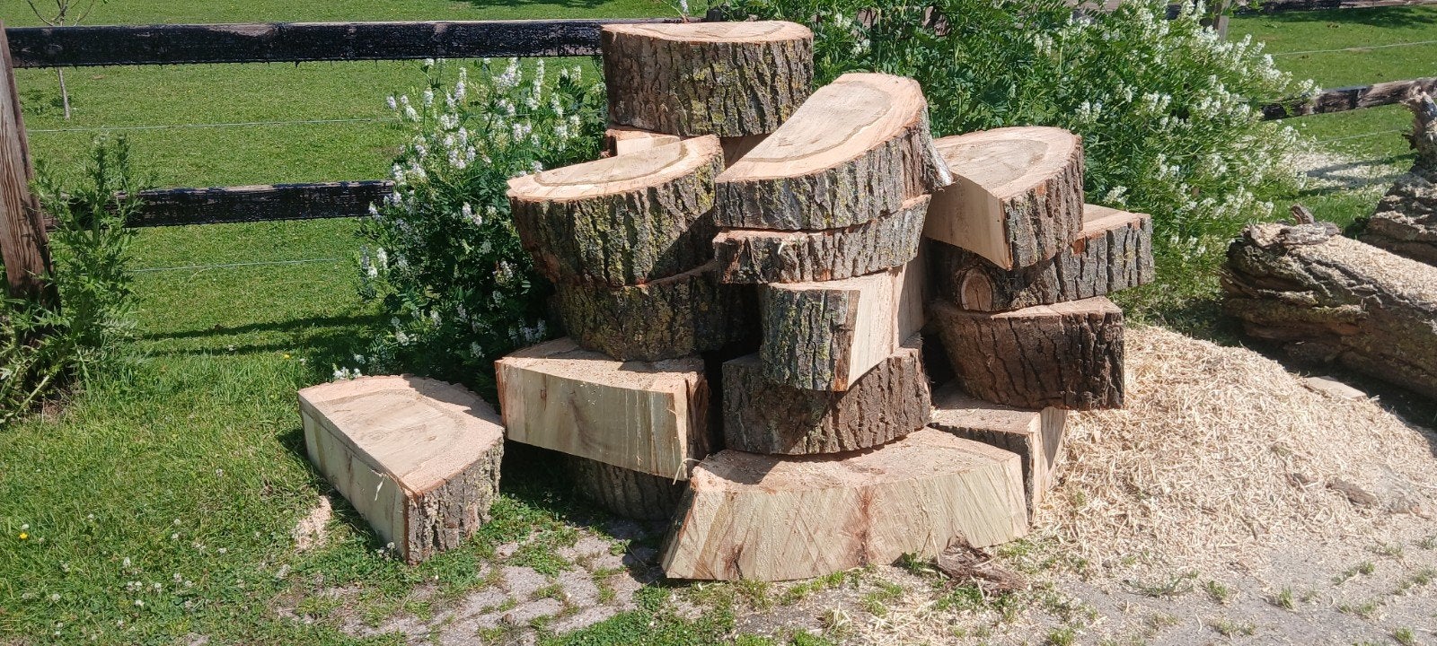 Populieren stammen te koop 20 kuub, Tuin en Terras, 6 m³ of meer, Ophalen, Overige houtsoorten, Blokken