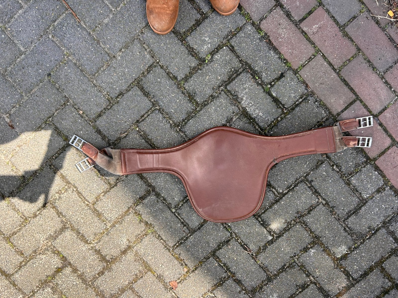 Prestige springsingel, Dieren en Toebehoren, Ophalen of Verzenden, Singel