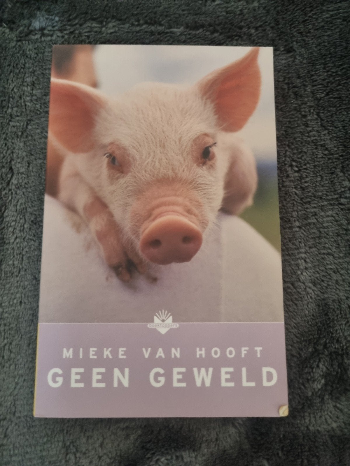 Geen Geweld - Mieke van Hooft, Boeken, Ophalen of Verzenden, Zo goed als nieuw, Mieke van Hooft, Nederland