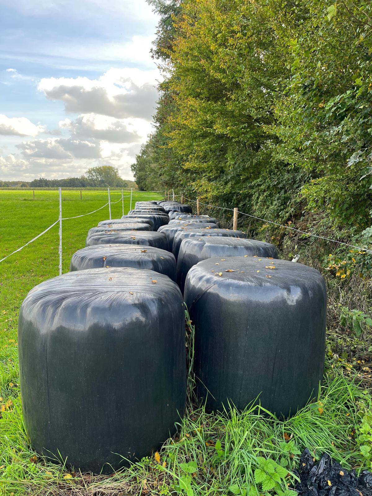 27 Midi balen hooi te koop van natuurland., Ophalen, Vee