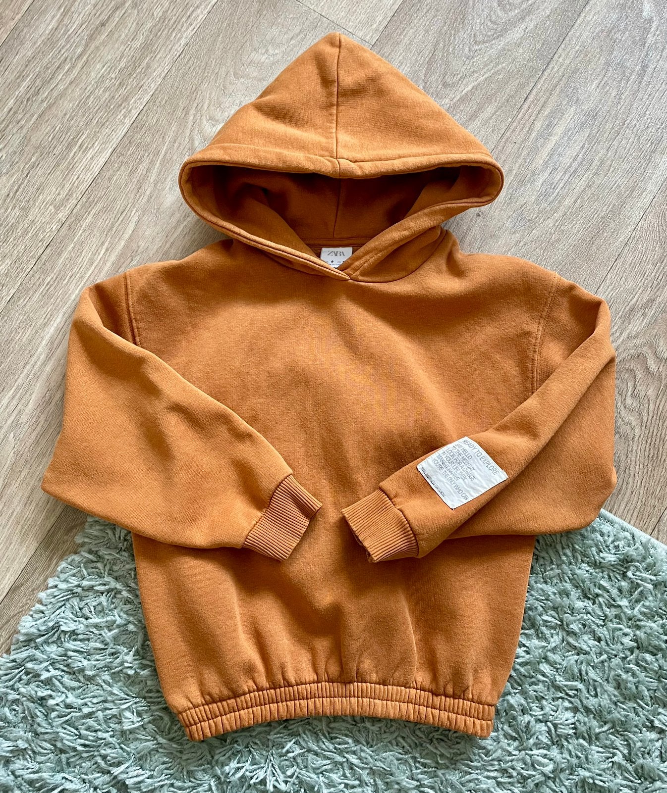 TE KOOP: mooie hoodie van Zara voor jongen maat 134 ZGAN, Ophalen of Verzenden, Zo goed als nieuw, Jongen, Trui of Vest