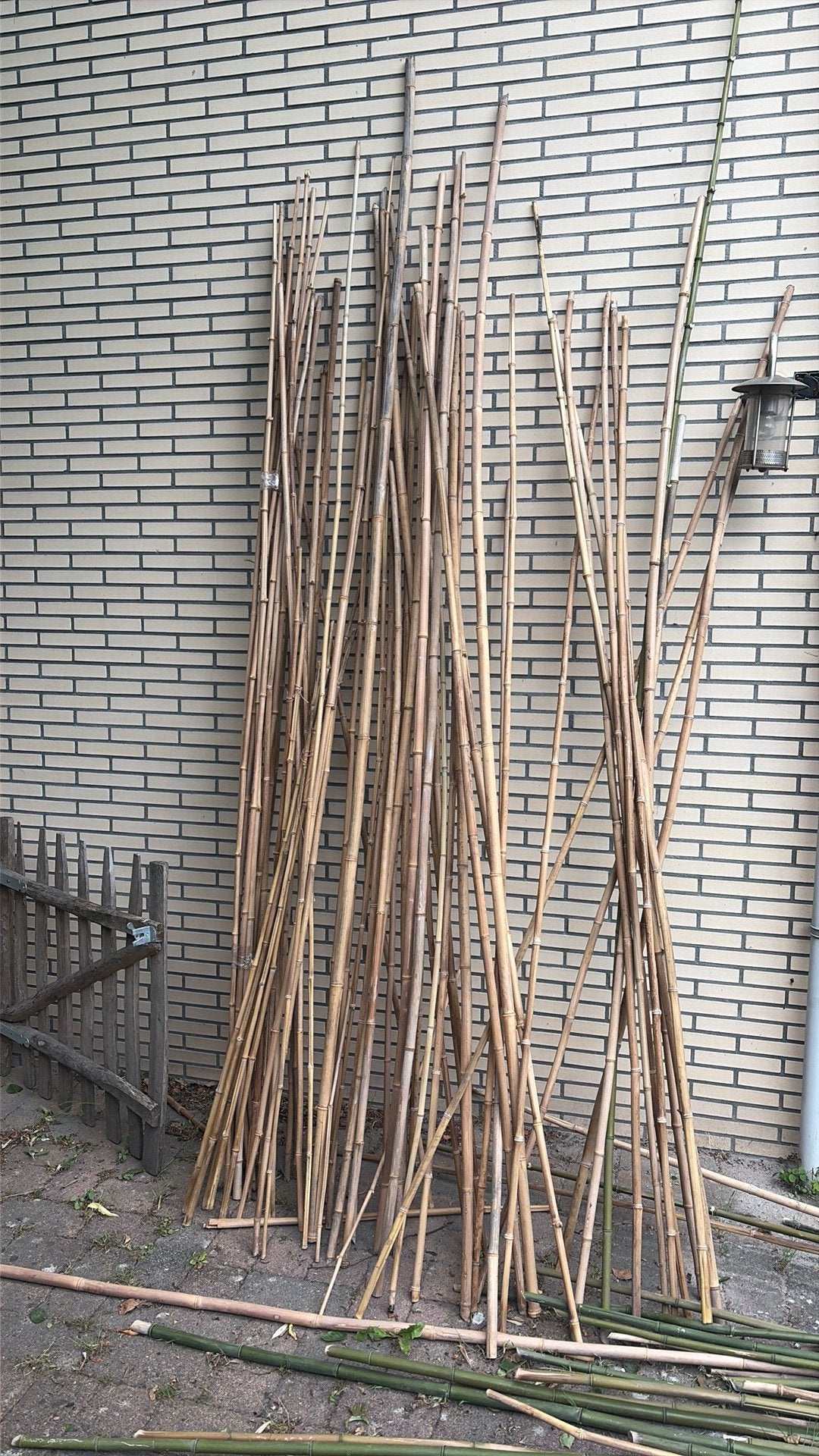 Bamboestokken bonenstaken bamboo, Tuin en Terras, Kweekspullen, Ophalen of Verzenden, Zo goed als nieuw