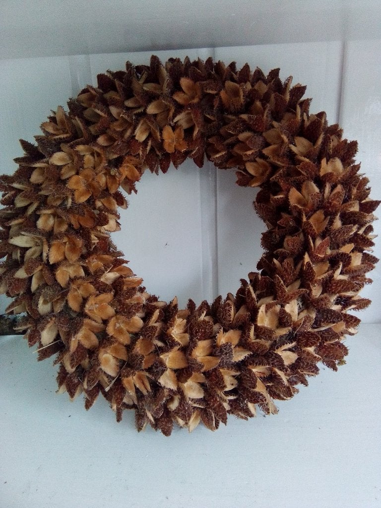krans van beukenootjes, Huis en Inrichting, Ophalen of Verzenden, Nieuw, Natuurlijk materiaal