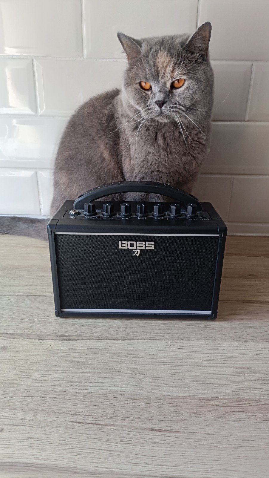 Boss Katana Mini gitaarversterker, Ophalen of Verzenden, Nieuw, Gitaar, Minder dan 50 watt