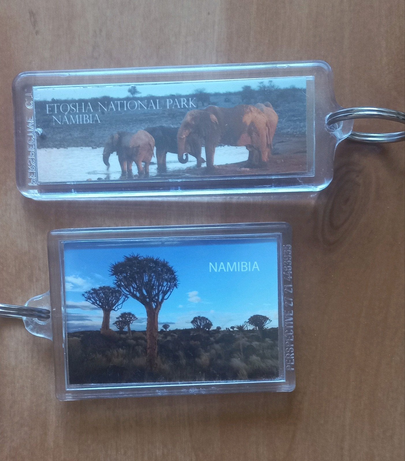 Set van 2 Namibië Souvenir Sleutelhangers (Etosha), Ophalen of Verzenden, Nieuw, Dier of Natuur
