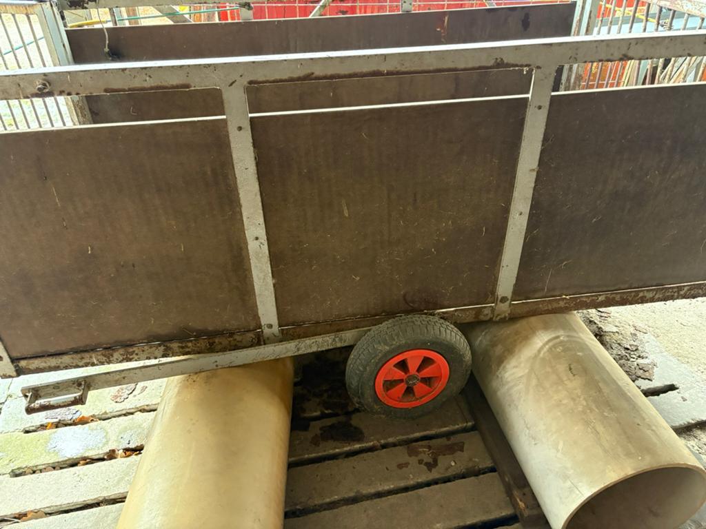 Transportkar voor vee / dieren, vangkooi, Mannelijk, Schaap