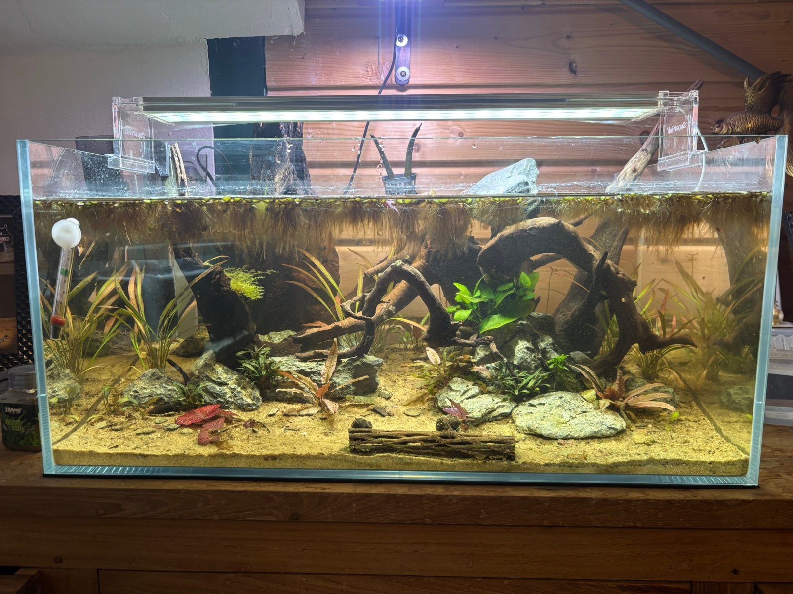 Superfish scaper 70, Dieren en Toebehoren, Ophalen, Zo goed als nieuw, Gevuld zoetwateraquarium