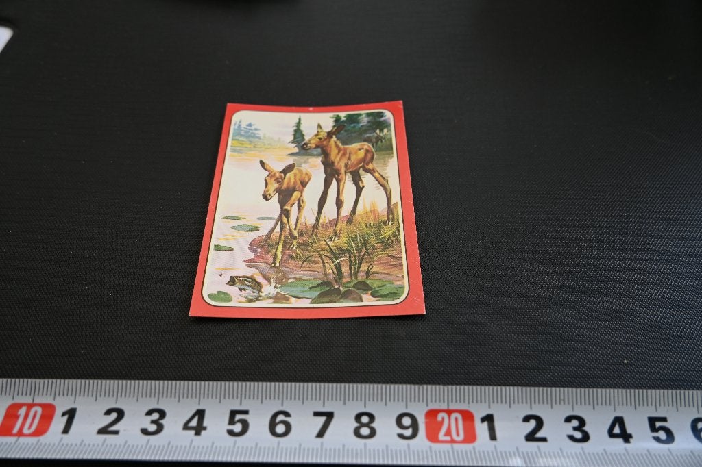 sticker panini baby zoo # 86 strip eland, Ophalen, Zo goed als nieuw