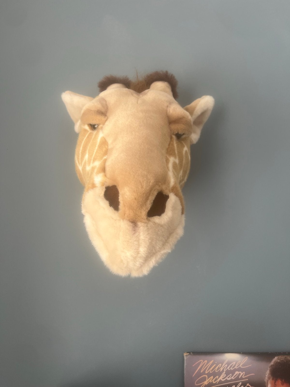 Pluche Giraffe Hoofd Wanddecoratie, Giraf, Ophalen of Verzenden, Zo goed als nieuw, Middelgroot (20 tot 80 cm)