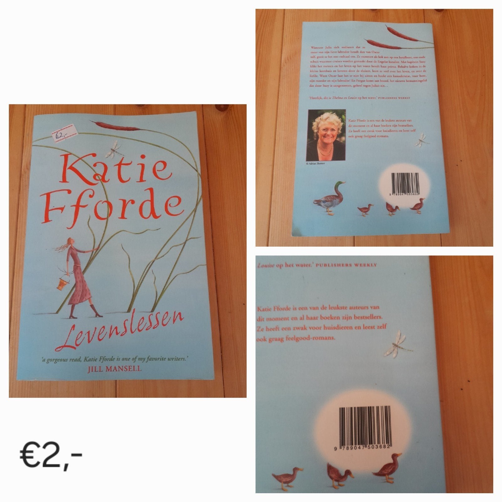 Katie Fforde - Levenslessen (Roman), Ophalen of Verzenden
