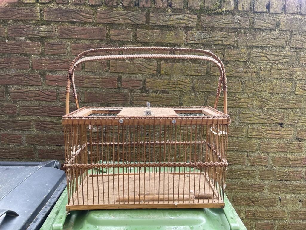 Vogelkooitje, Ophalen of Verzenden, Hout