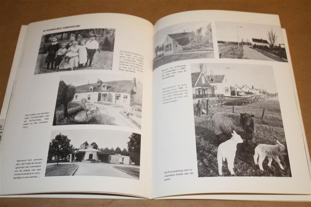 Rotterdam-Zuid. Veranderd gezicht, 1900-1983., Ophalen of Verzenden, Gelezen