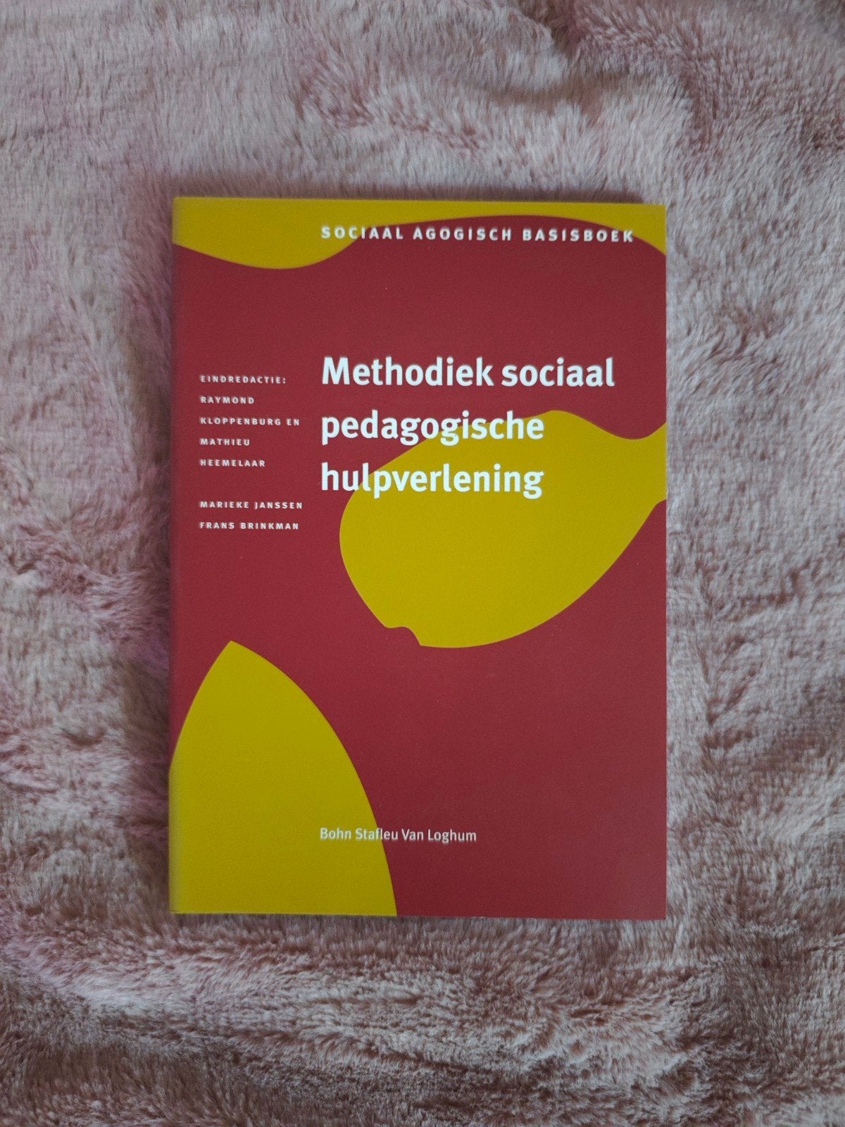 Methodiek sociaal pedagogische hulpverlening, Zo goed als nieuw, Martine Janssen, Frank Bruggeman, Bohn Stafleu Van Loghum, Gamma