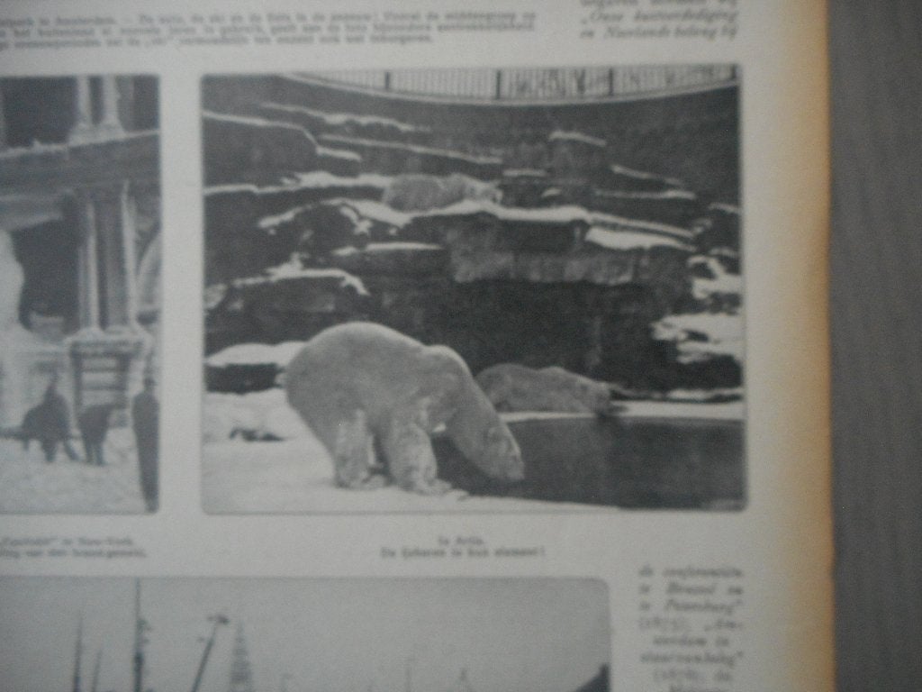 Artis. IJsberen. 1912., Verzamelen, Tijdschriften, Kranten en Knipsels, Ophalen of Verzenden, Voor 1920, Nederland, Knipsel(s)