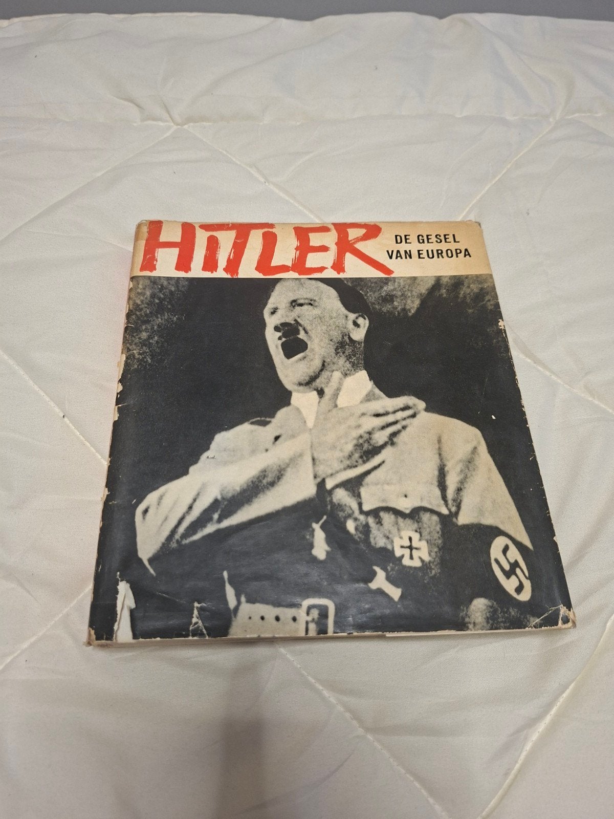 Hitler: De Gesel van Europa - Boek over WOII, Ophalen of Verzenden, Algemeen, Gelezen, Tweede Wereldoorlog