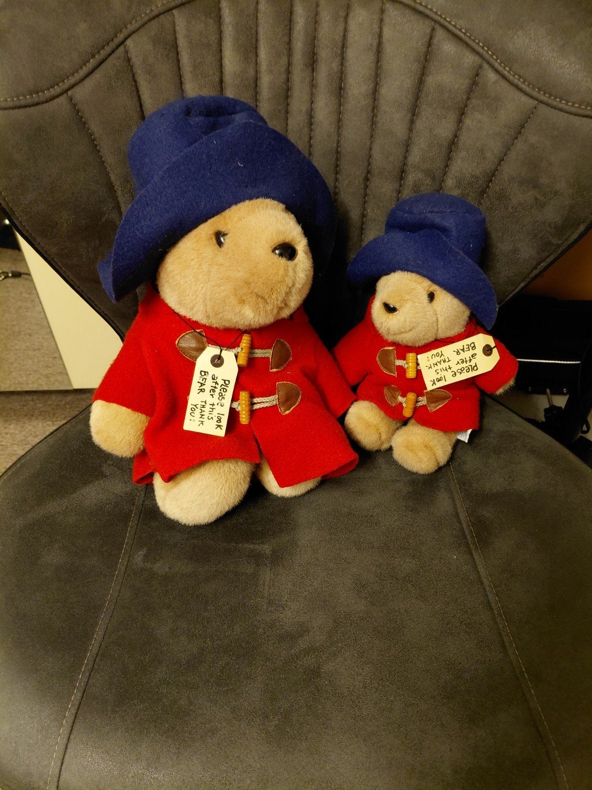 Set van 2 Paddington Beertjes - Zo goed als nieuw, Overige merken, Overige karakters, Beer, Blauw
