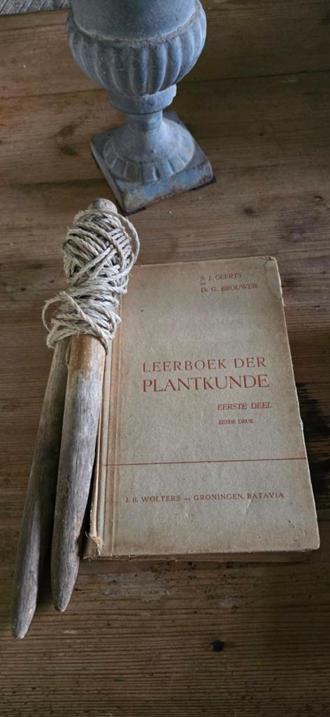 Leerboek der plantenkunde 1947 plus meettouw planten, Ophalen of Verzenden