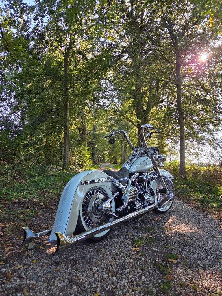 HARLEY-DAVIDSON MEXICAN SOFTAIL, Niet ingevuld, Occasion, Motorrijbewijs A, Bedrijf