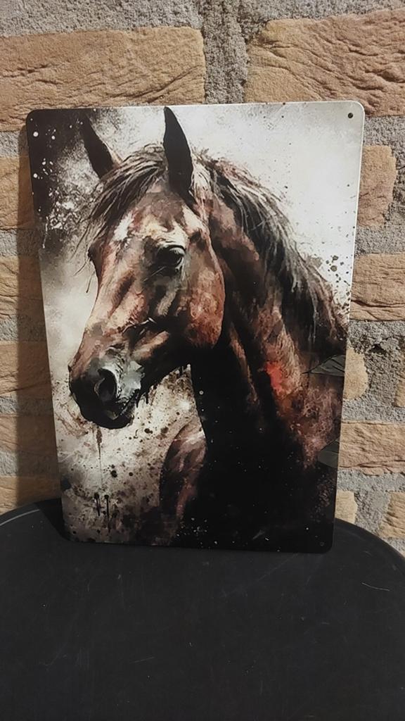 Metalen wanddecoratie paard 20x30cm, Ophalen of Verzenden