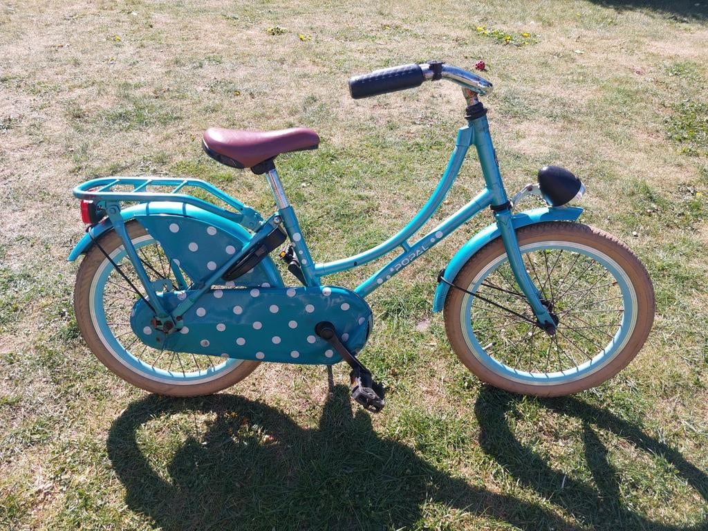 Fiets 18 inch, Ophalen, Gebruikt, 18 inch