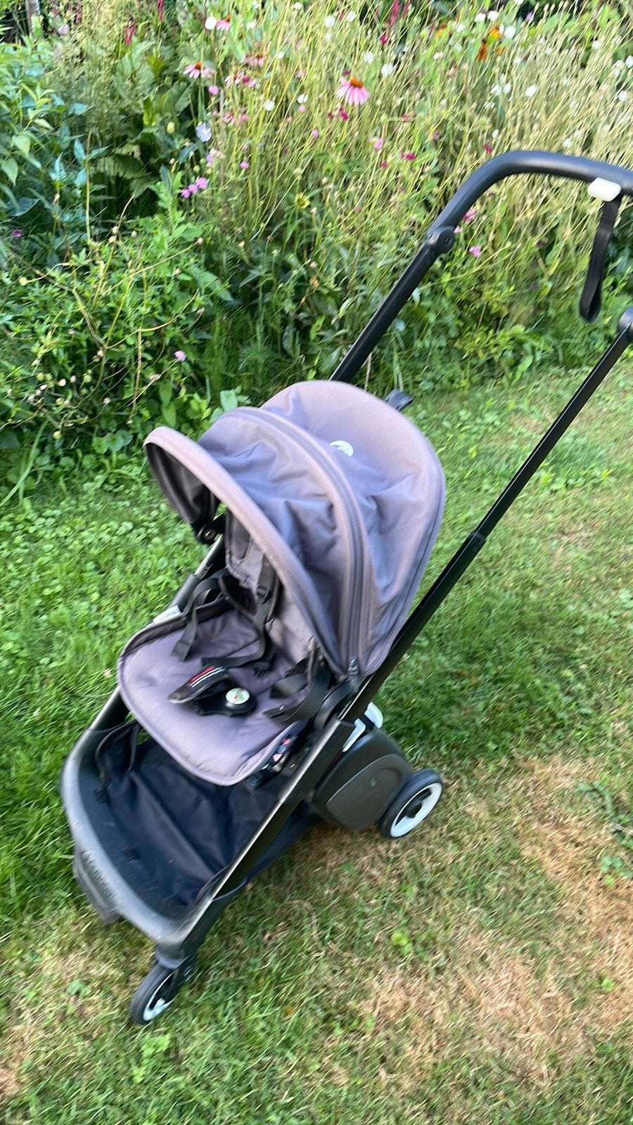 Reis Buggy bugaboo, Ophalen, Gebruikt