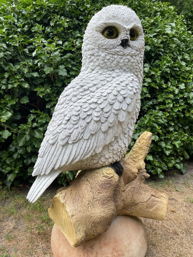 Beeld witte sneeuw uil, tuin, gazon, dierentuin 80cm, Tuin en Terras, Tuinbeelden, Ophalen, Nieuw, Kunststof, Dierenbeeld