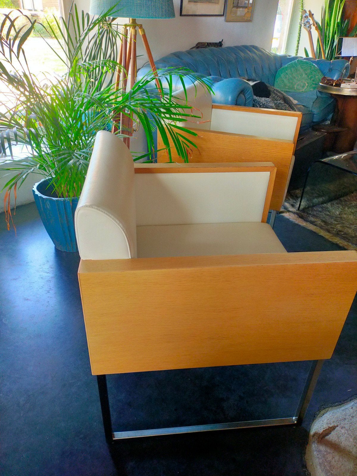 Pedrali disign stoel Box 741 Lounche, Ophalen, Gebruikt, Eenpersoons, 75 tot 100 cm