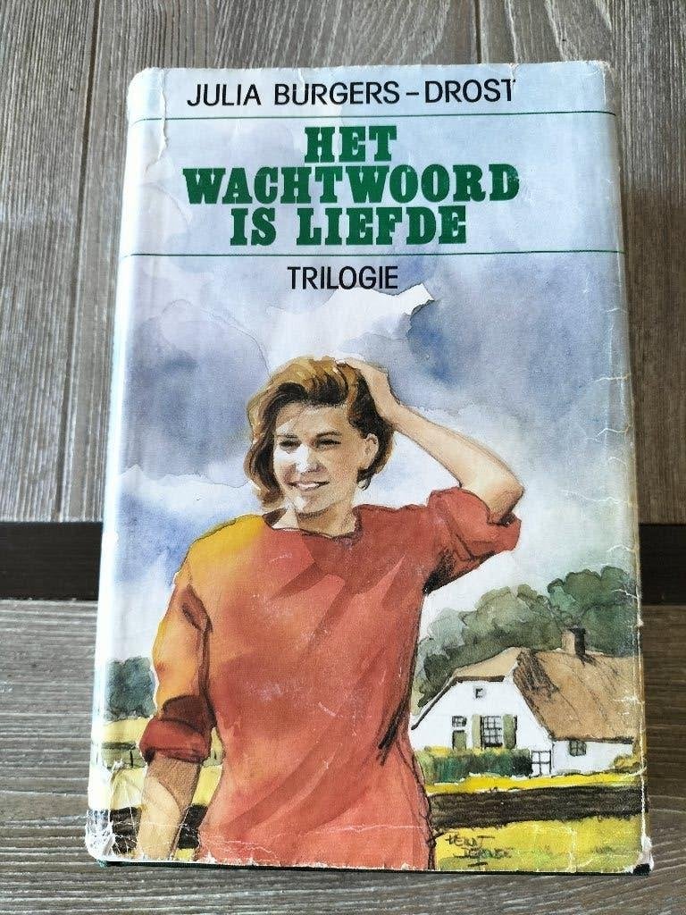 Het Wachtwoord is Liefde - Julia Burgers-Drost Trilogie, Gelezen, Julia Burgers-Drost, Ophalen of Verzenden, Nederland