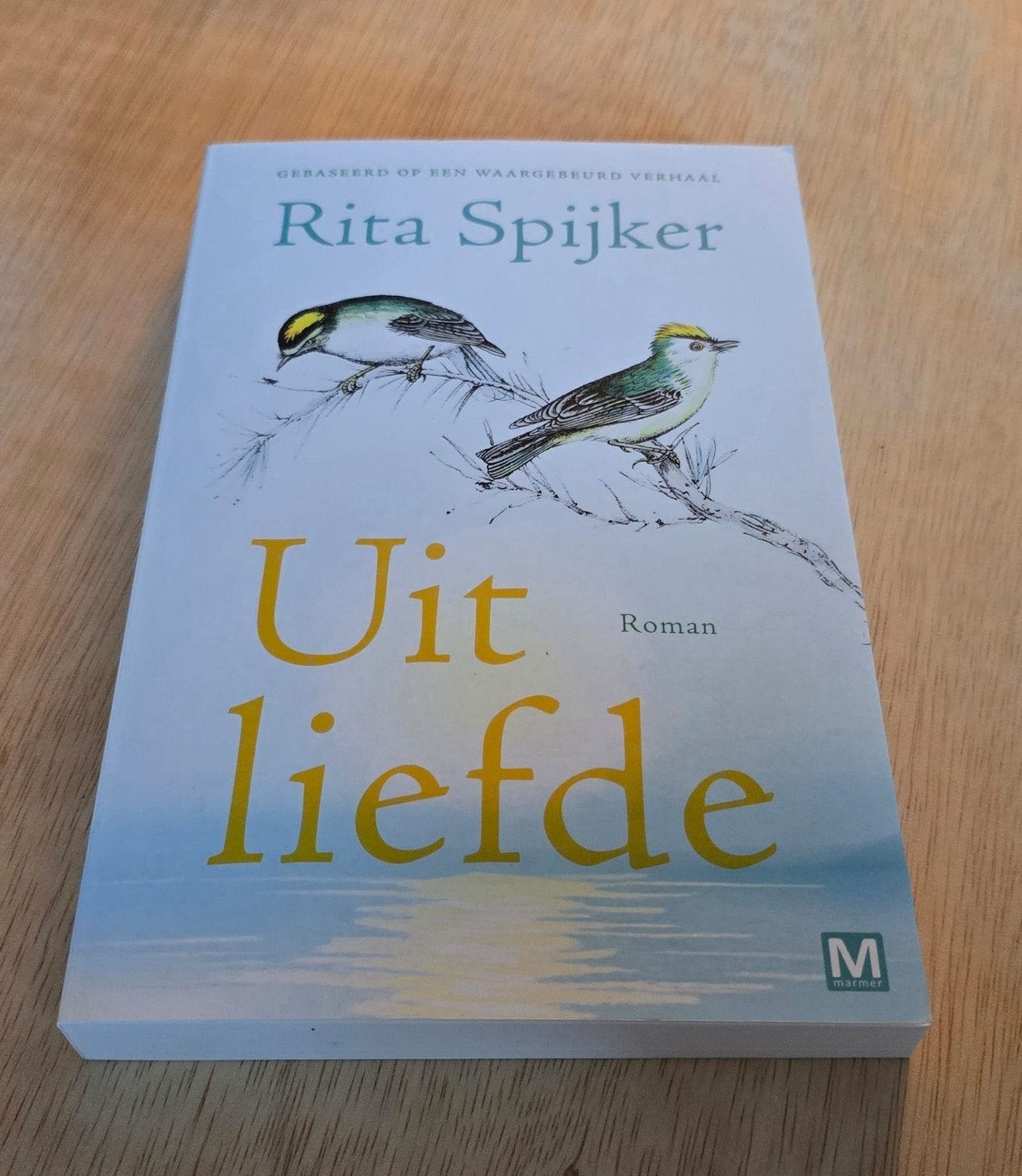 diverse boeken verkoop, Ophalen of Verzenden, Zo goed als nieuw, Rita Spijker