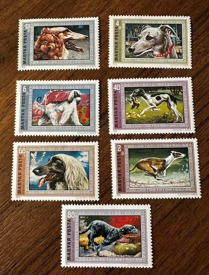 Hongarije 1972 - Ongebruikt met honden, Ophalen of Verzenden
