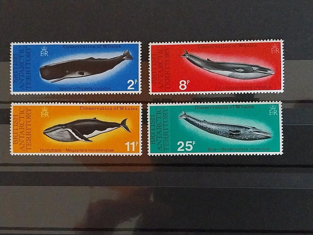 Brits Antartica 64-67 walvissen 1977 postfris mi 40 eu, Ophalen of Verzenden, Dier of Natuur