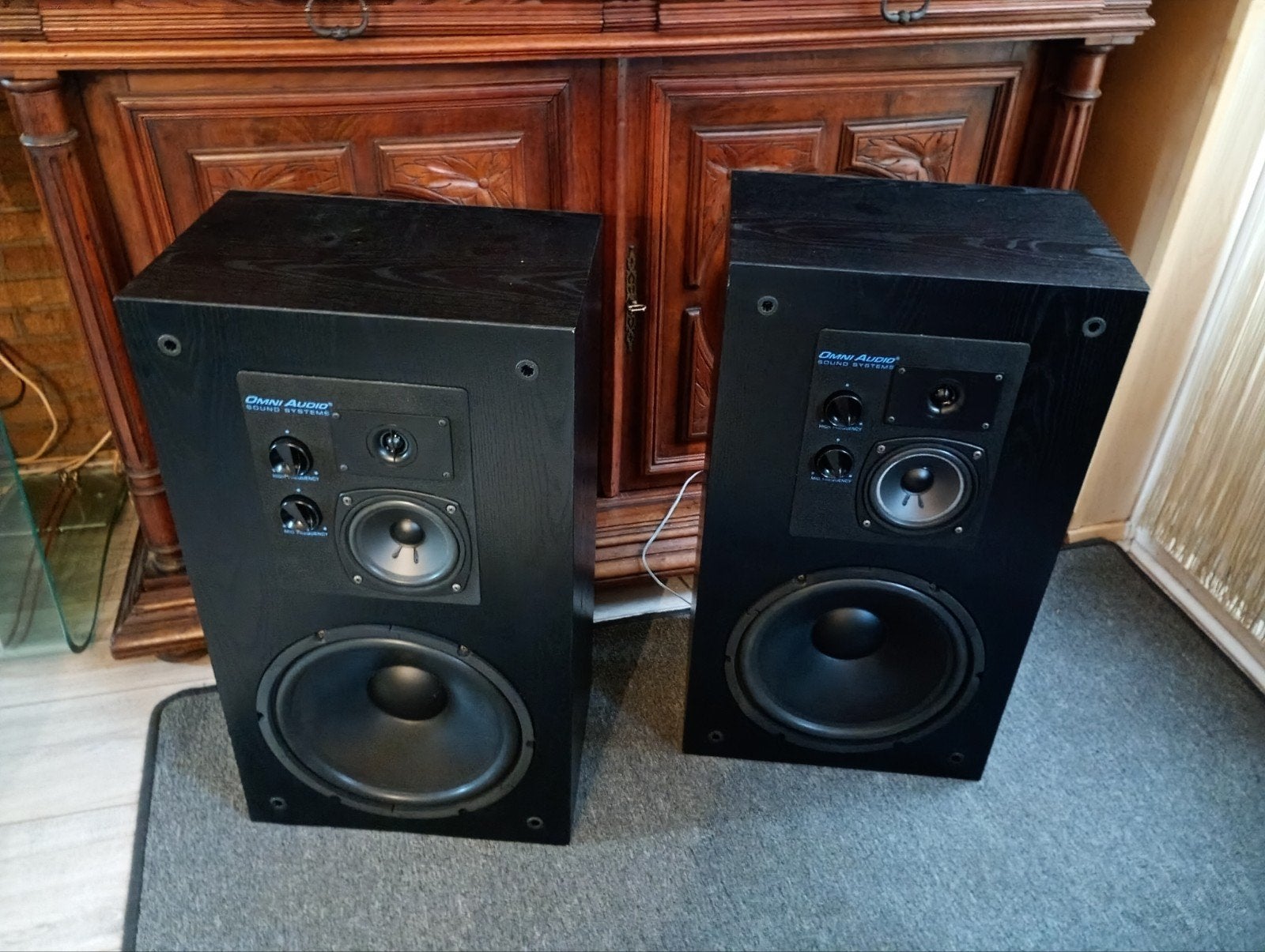 Omni Audio 12.3 luidspreker boxen, Audio, Tv en Foto, Stereo speakers, Gebruikt, Ophalen, 150 watt of meer