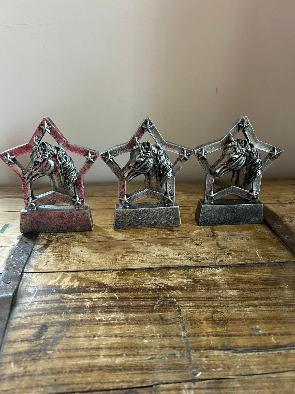 3x paardensport trofee  paardenhoofd in ster, Dieren en Toebehoren, Ophalen of Verzenden, Nieuw