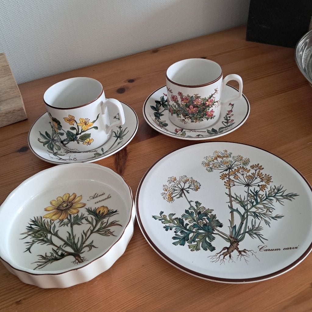 Villeroy & Boch Botanica kleine ovenschaal 2 kopjes en bord, Ophalen of Verzenden