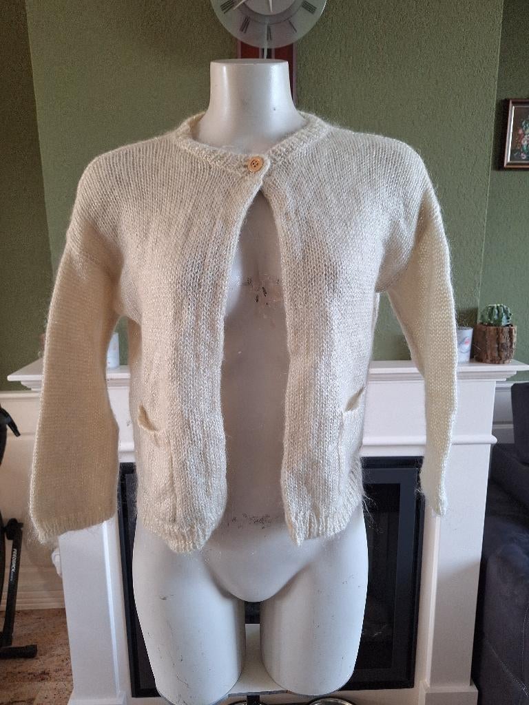 Xandres warm vestje wol mohair S 36 zilverdraad cardigan, Overige kleuren, Maat 42/44 (L), Ophalen of Verzenden, Zo goed als nieuw