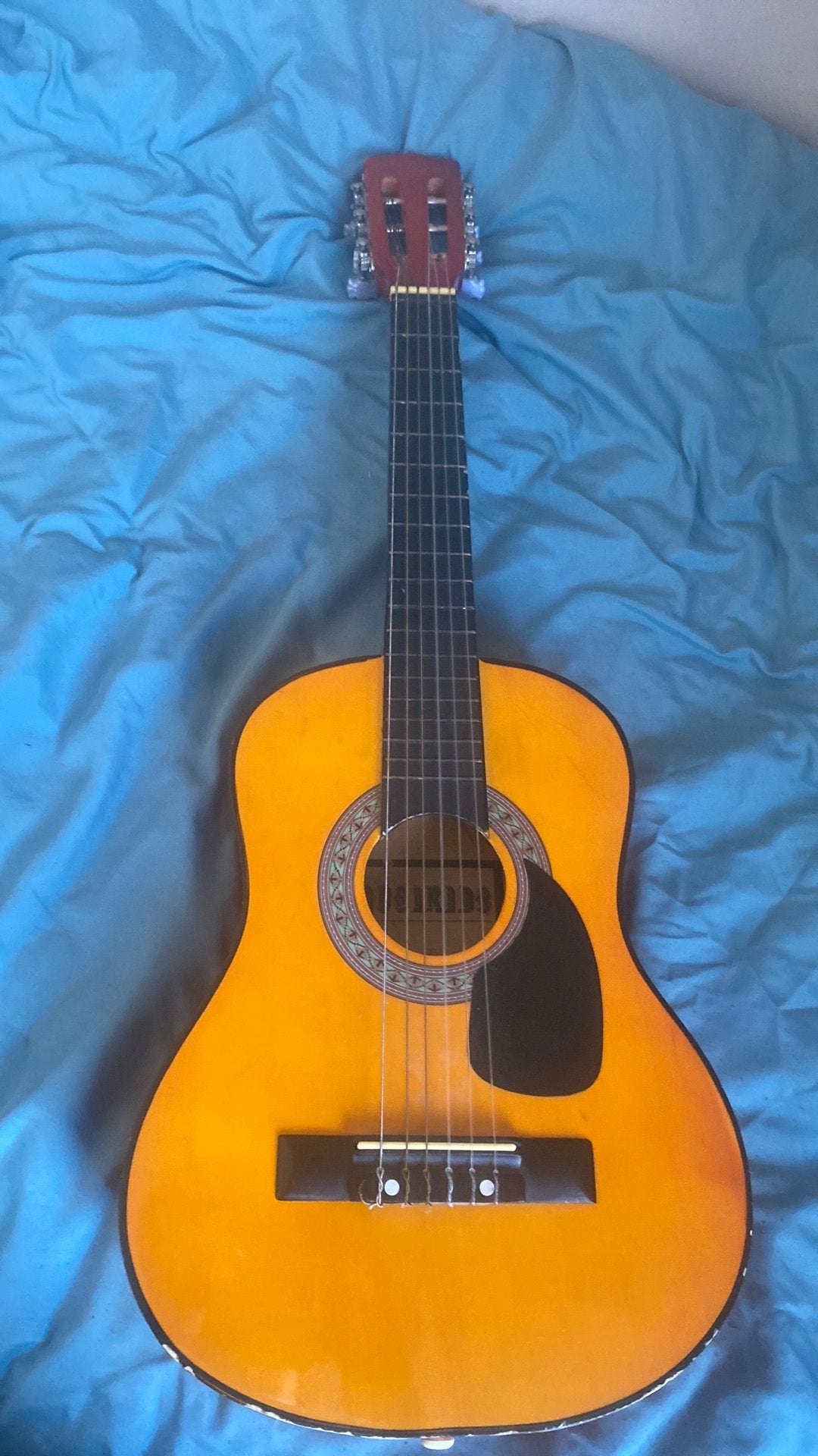 Gitaar, Ophalen, Gebruikt, Overige typen