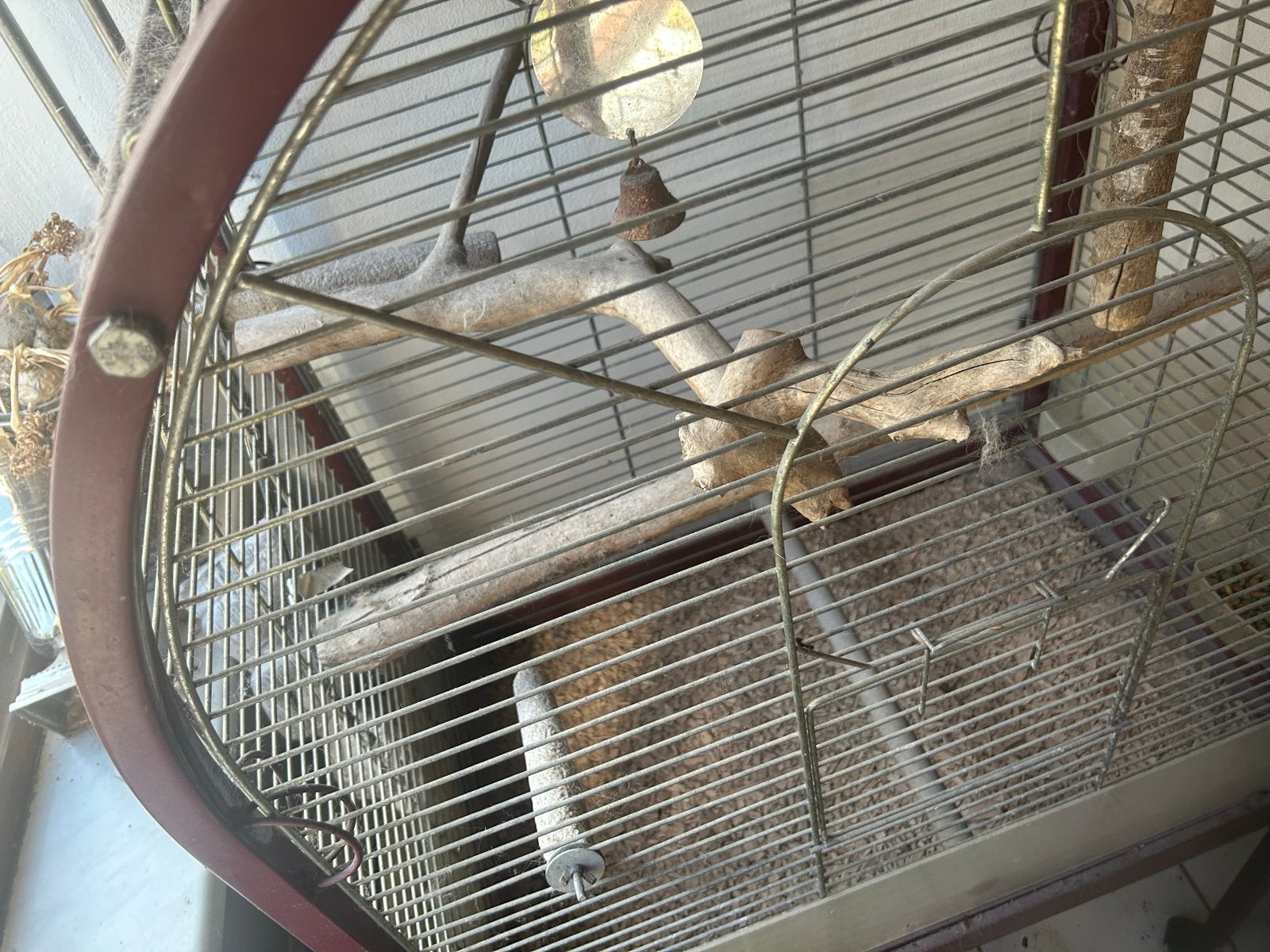 Vogel kooi, Ophalen, Metaal, Vogelkooi