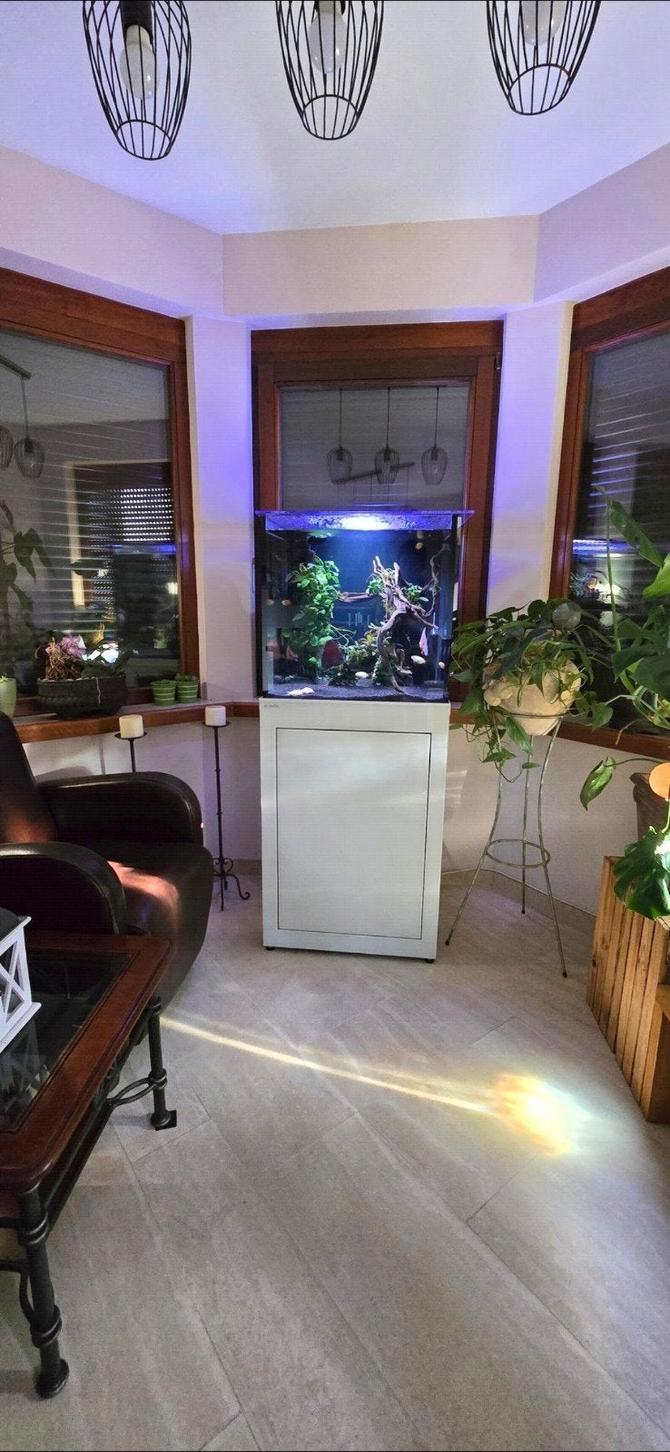 LEEG aquarium op maat AQUALIFE met meubel en led verlichting, Ophalen, Minder dan 10 m², Tapijt