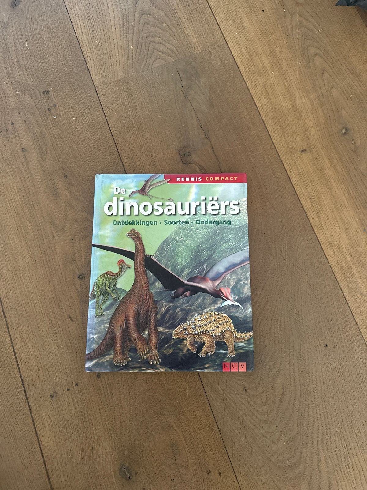 De Dinosauriërs - Kennis Compact, Boeken, Kinderboeken | Jeugd | onder 10 jaar, Ophalen, Zo goed als nieuw, Non-fictie
