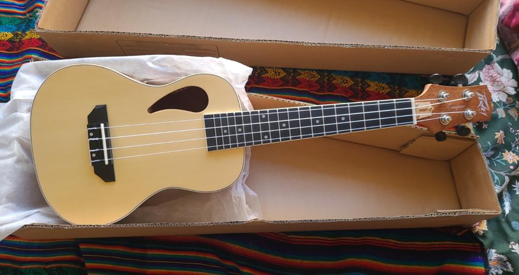 Peavey Student Ukelele - Nieuw in doos, Muziek en Instrumenten, Ophalen of Verzenden, Nieuw, Ukelele