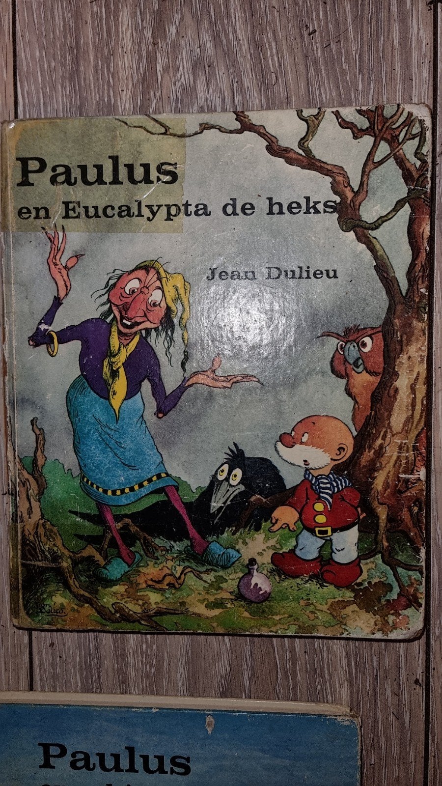 Paulus de boskabouter en Eucalypta de heks - Jean Dulieu, Ophalen of Verzenden, Gelezen, Jean Dulieu
