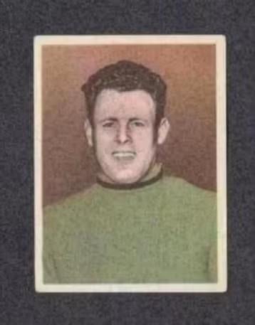 Voetbalplaatje Herman van Raalte HVV Hengelo Blauw Wit Amste, Verzamelen, Ophalen of Verzenden, Zo goed als nieuw
