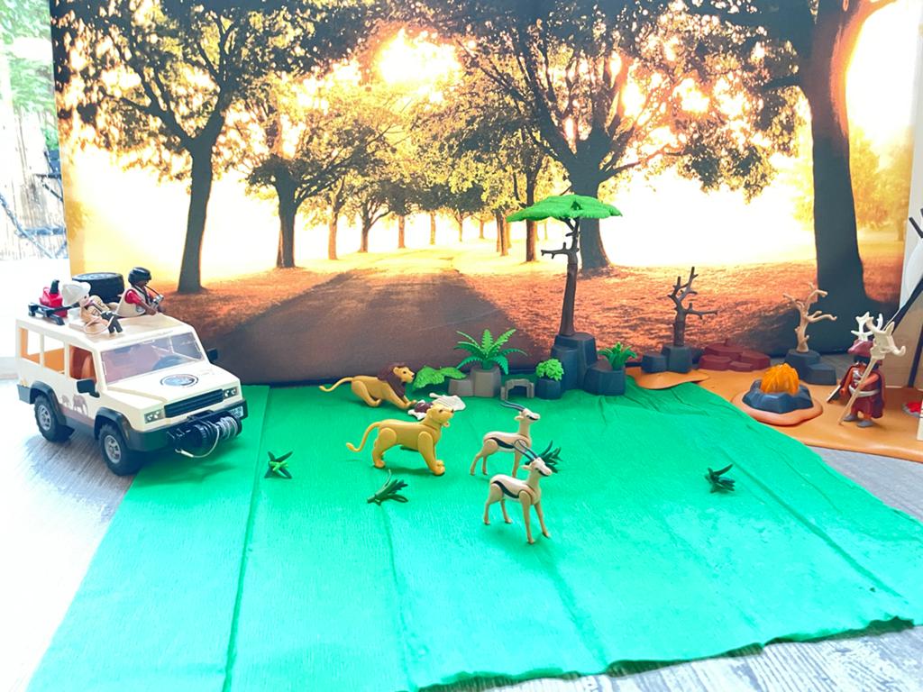 Playmobil Safari Set met Voertuig en Dieren, Ophalen of Verzenden, Zo goed als nieuw, Jongen of Meisje