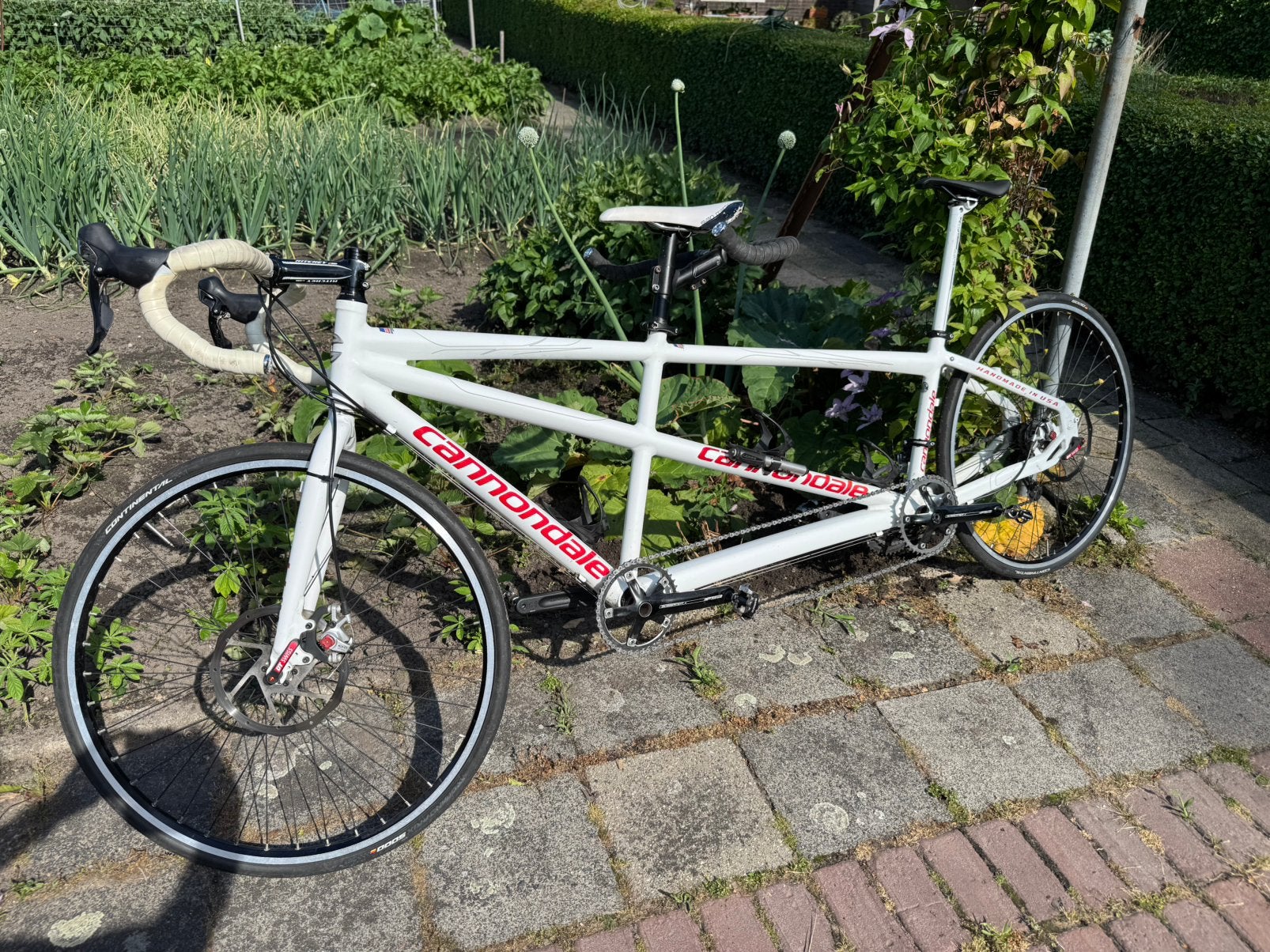 Cannondale racetandem met Shimano Ultegra en schijfremmen, 28 inch, Gebruikt, Aluminium, 49 tot 53 cm